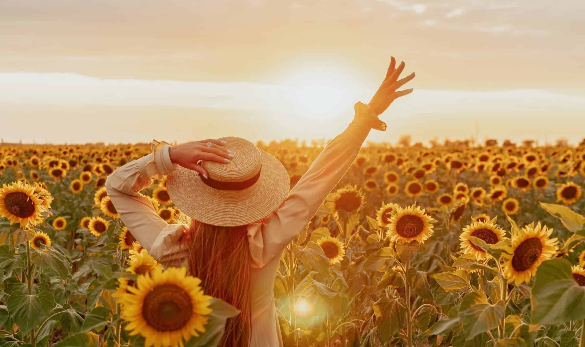 A woman standing in a sunflower field with arms raised toward the sun, symbolizing the laws of quantum physics and the connection between energy, light, and consciousness.