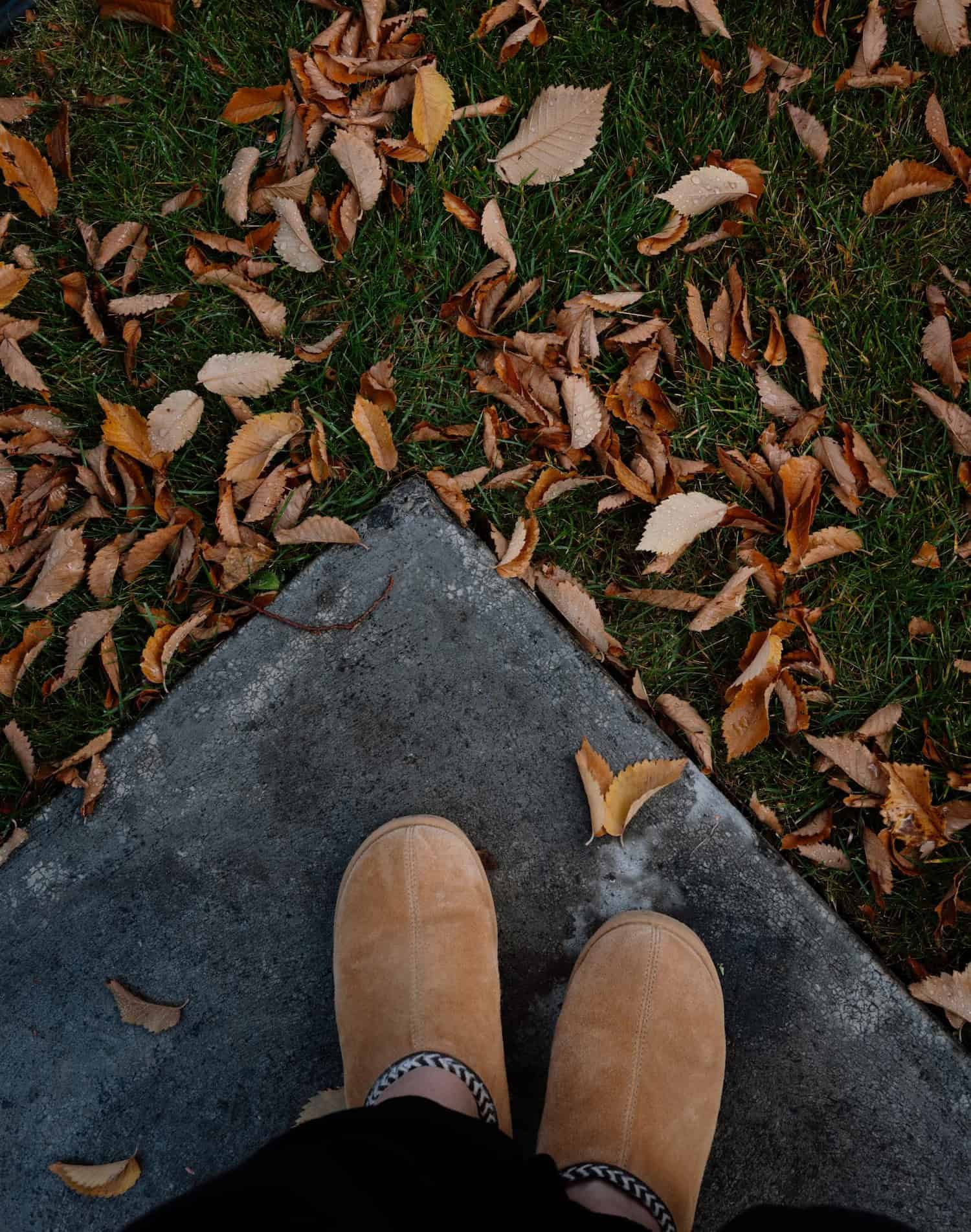 An overhead view captures feet in tan slippers standing on a concrete path with fallen autumn leaves.
