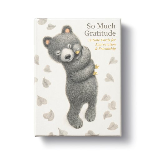A book cover of So Much Gratitude note cards.